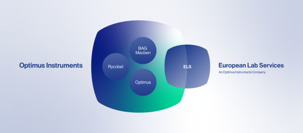 Corporate structure New